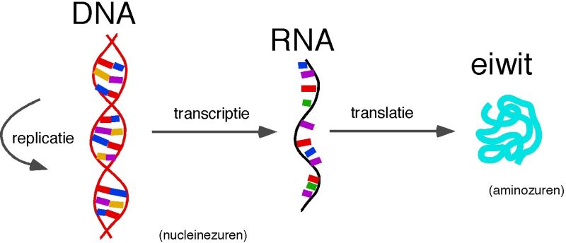 Nieuwe chemtech start-up
