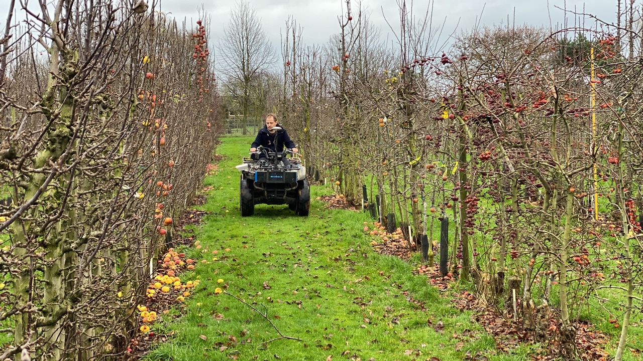 Slimme camera als innovatief hulpmiddel boomkweker